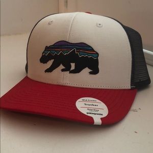 Patagonia trucker hat